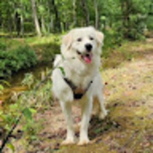 Meet your Posher, Jacqui